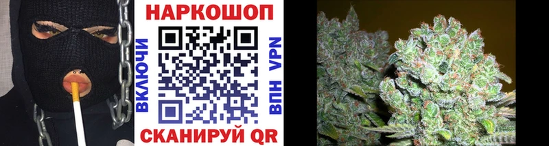 Где купить наркоту Богданович Псилоцибиновые грибы  Канабис  МЕФ  ГАШИШ 