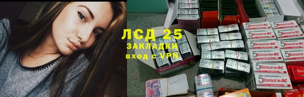 прущие грибы Рославль