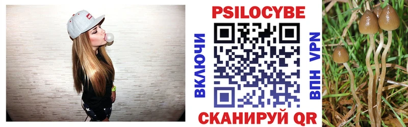 Галлюциногенные грибы Psilocybe Богданович