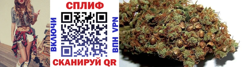 omg tor  Богданович  Марихуана MAZAR 
